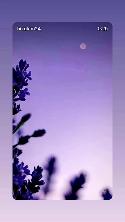 _lil_noa_ _lil_noa_ archive video