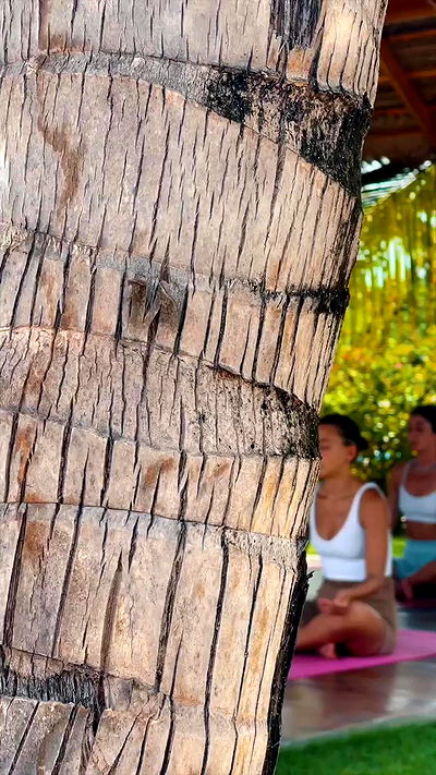 talweisswasser talweisswasser archive video