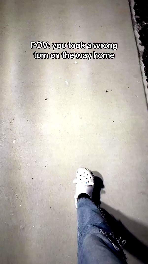 swaggy_cucumber archive video preview
