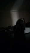 yaminaamane Altpins Profile Picture