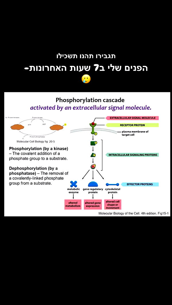kesemgreenyer archive video preview