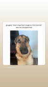 emily_new2 Altpins Profile Picture