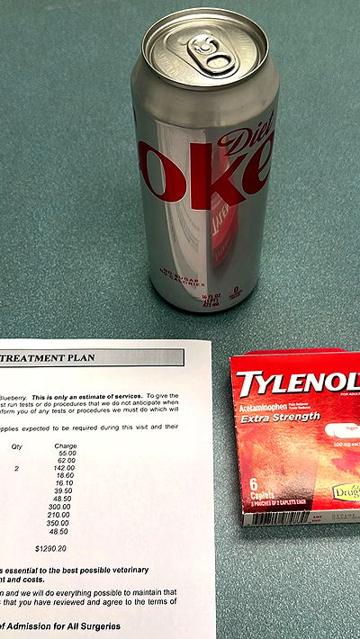 neiimaaa neiimaaa archive video