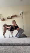 kayleedolisi Altpins Profile Picture