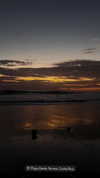 jenny.kaly Altpins Profile Picture