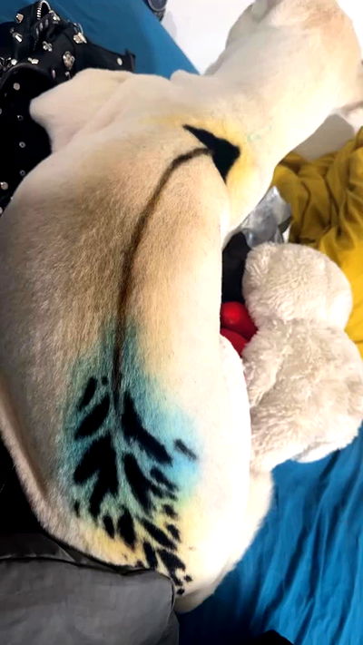 romy_ayalla_lavi romy_ayalla_lavi archive video