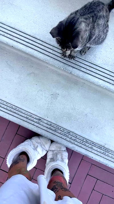 zommmbri zommmbri archive video