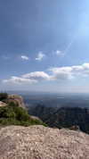 shelly_roberin Altpins Profile Picture