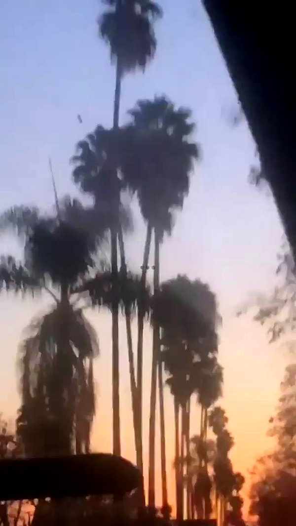 blairvira archive video preview