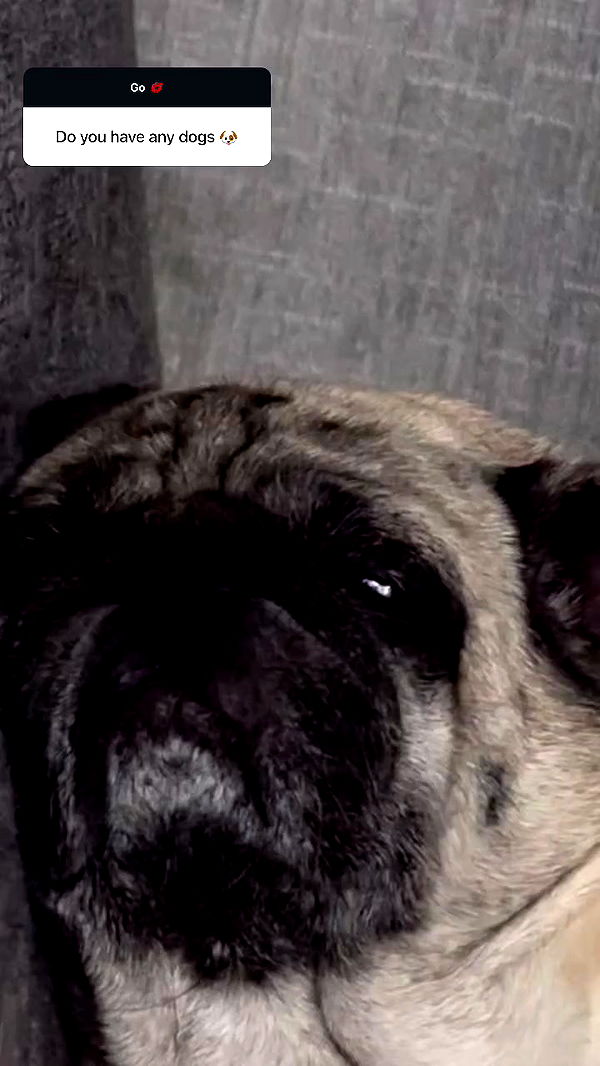 nyityam archive video preview