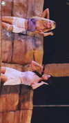 vendengephoto Altpins Profile Picture