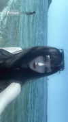 _monixque_ Altpins Profile Picture