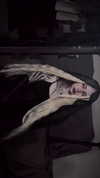 crocatana Altpins Profile Picture