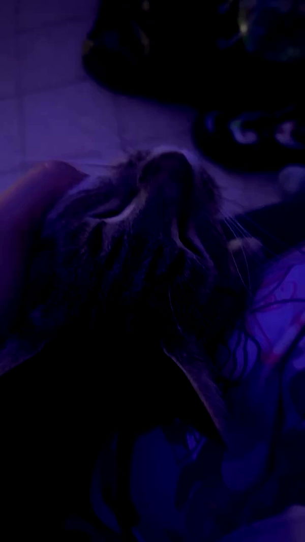 hellokittyangel666 archive video preview