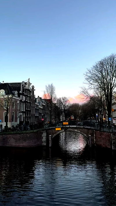 bakedsloths bakedsloths archive video