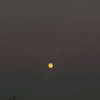 arianagrande Altpins Profile Picture