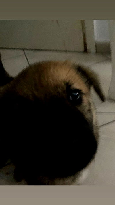 dustheadd dustheadd archive video