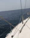 sonia_litvanchuk Altpins Profile Picture