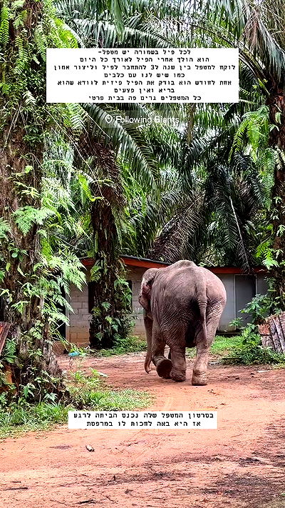 kesemgreenyer kesemgreenyer archive video