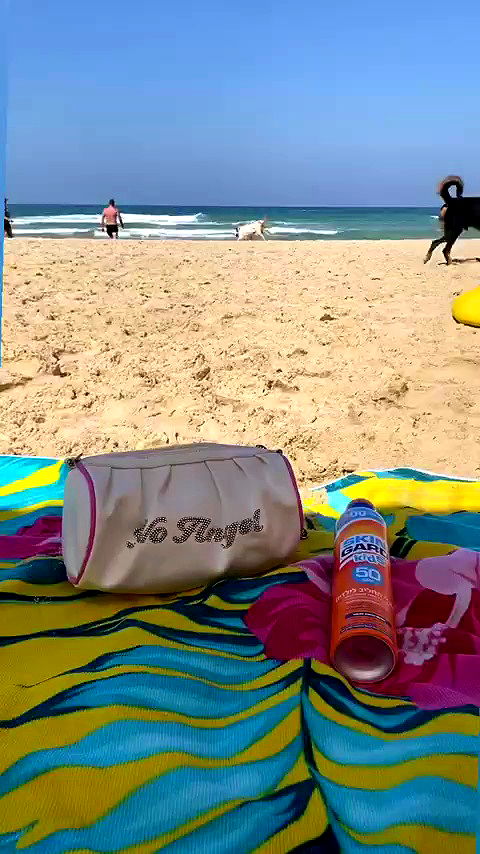 yam_adler archive video preview