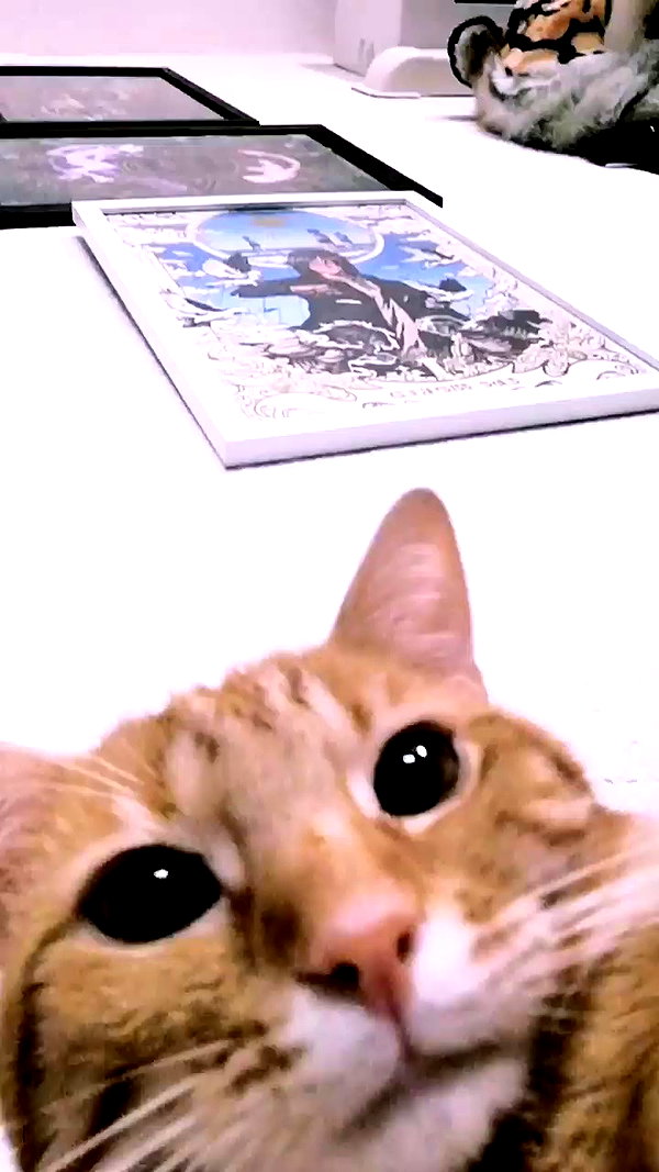 reitoshin archive video preview