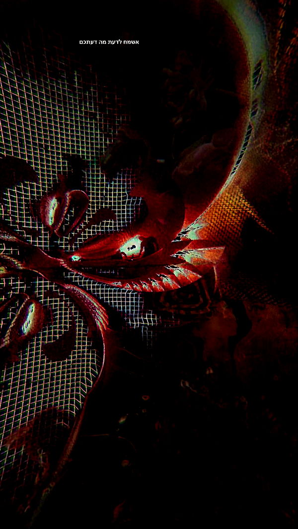 romy_ayalla_lavi archive video preview