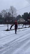 candy_balll Altpins Profile Picture