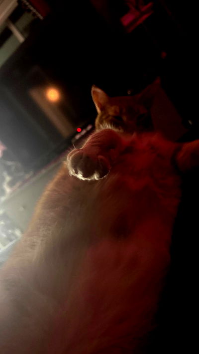 vamppyrbaby vamppyrbaby archive video