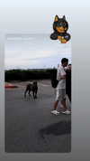 violet20010829 Altpins Profile Picture