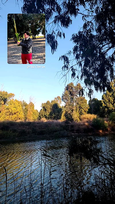 tinapavlov.sky tinapavlov.sky archive video