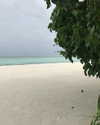 galina.dub Altpins Profile Picture