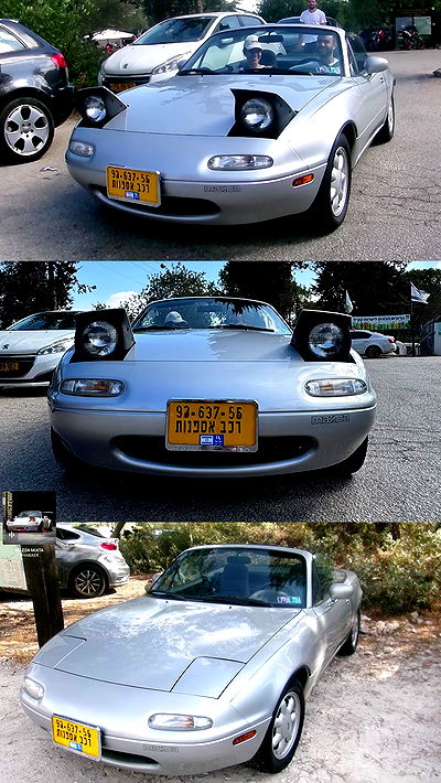 simp_for_cats_ simp_for_cats_ archive video