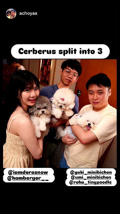 iamdorasnow iamdorasnow archive video