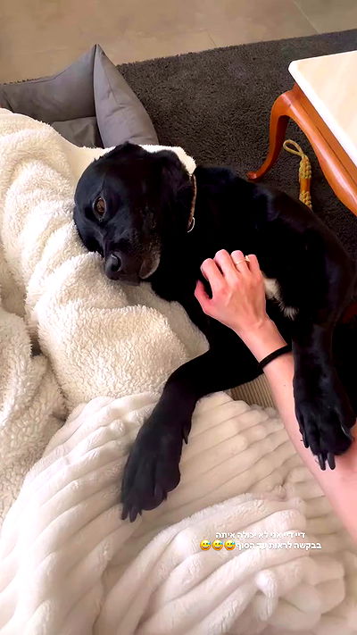 talweisswasser talweisswasser archive video