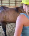 sommerray Altpins Profile Picture