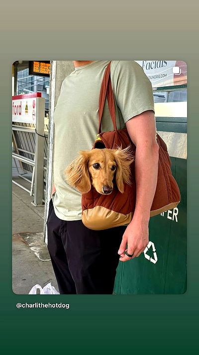 _._dianush._ _._dianush._ archive video