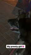 emily_new2 Altpins Profile Picture
