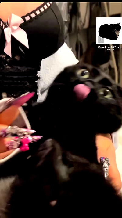 hellokittyangel666 hellokittyangel666 archive video