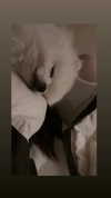 maymay_hitomi Altpins Profile Picture