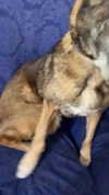 emily_new2 Altpins Profile Picture