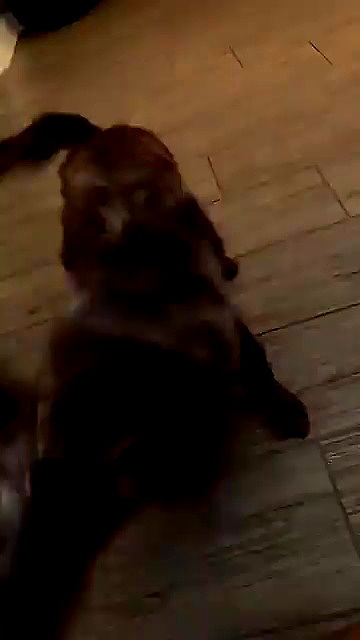 sophieraiin sophieraiin archive video