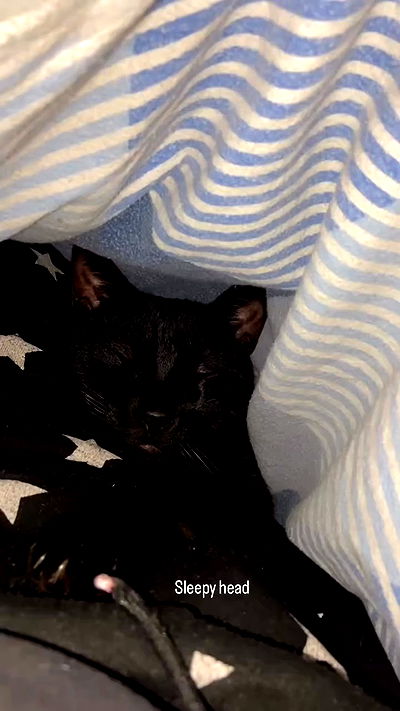 feelbetterinmysweater feelbetterinmysweater archive video