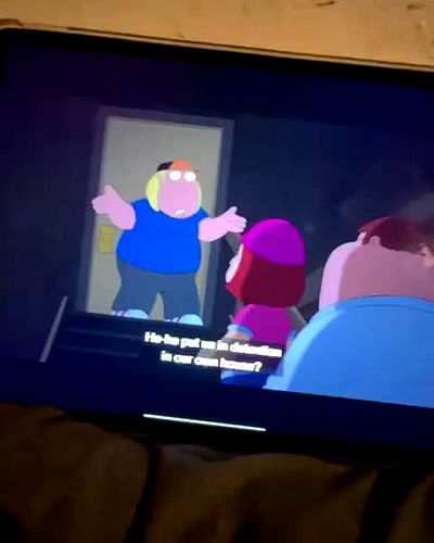 tuliprivet tuliprivet archive video