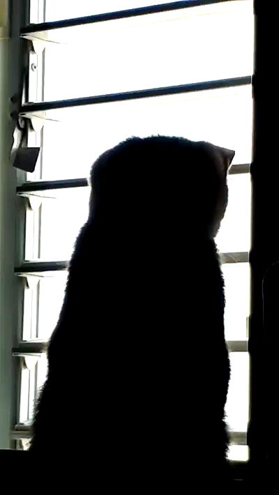 neomiconrad neomiconrad archive video