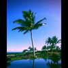 beyonce Altpins Profile Picture