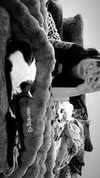 livindeadyaz Altpins Profile Picture