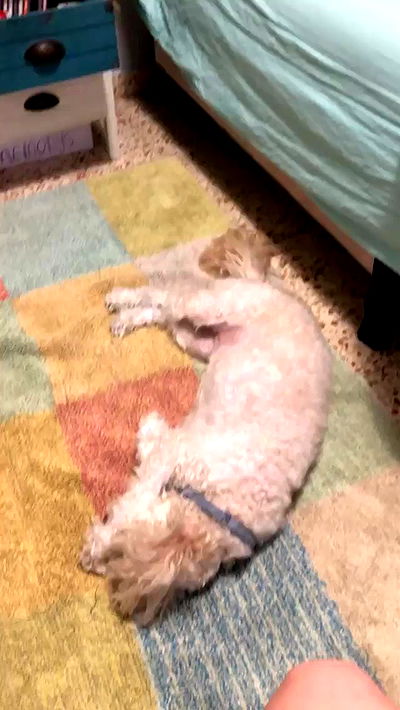 feelbetterinmysweater feelbetterinmysweater archive video