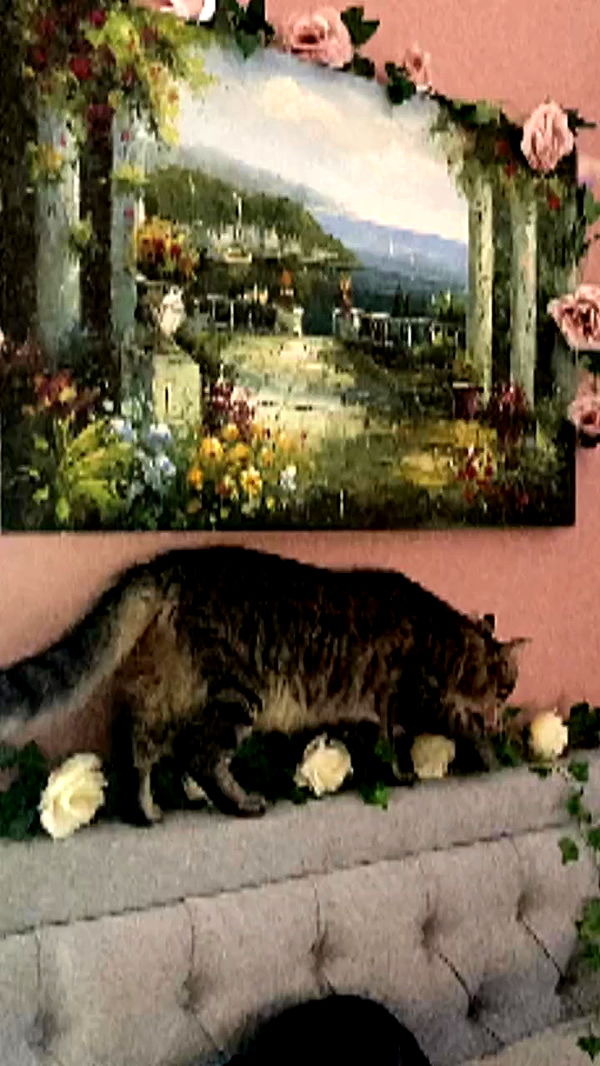 1.lostloli archive video preview