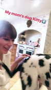 taylorswift Altpins Profile Picture