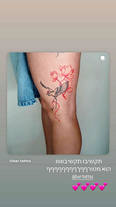 jaroslava_klavir jaroslava_klavir archive video